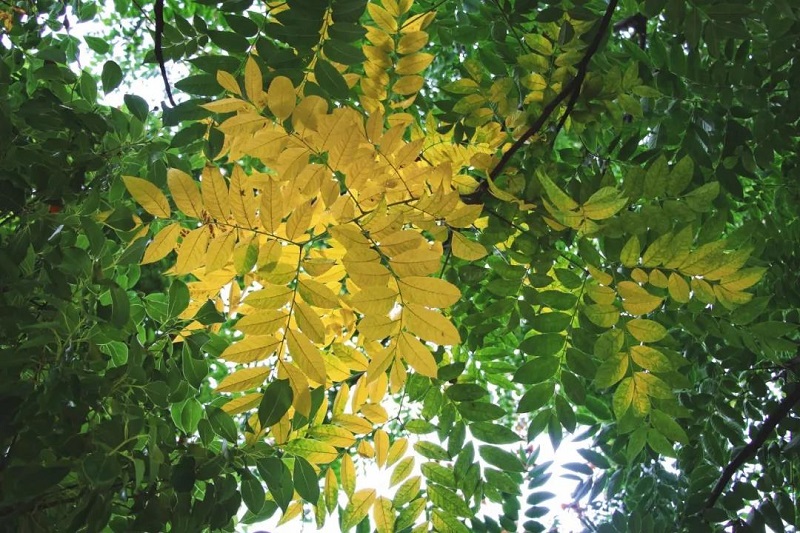1628737076591907.jpg 微信圖片_20210811182435.jpg