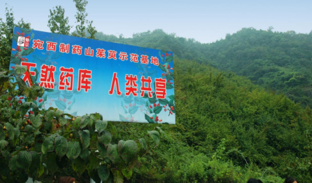 1630055468501943.png WPS圖片-修改尺寸2.png