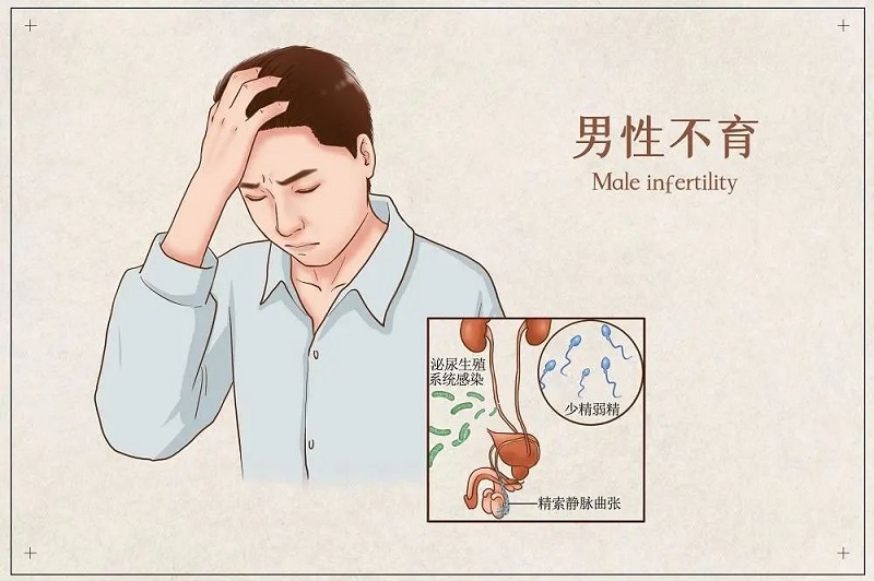 1646115842606765.jpg 男性不育.jpg