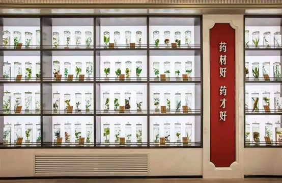 1745059125877979.jpg 西峽展廳.jpg