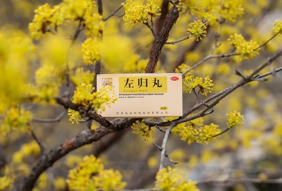 1745059170627437.jpg 左歸丸茱萸花開.jpg