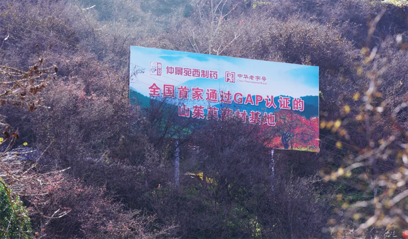 1764730857375725.png 圖片5.png