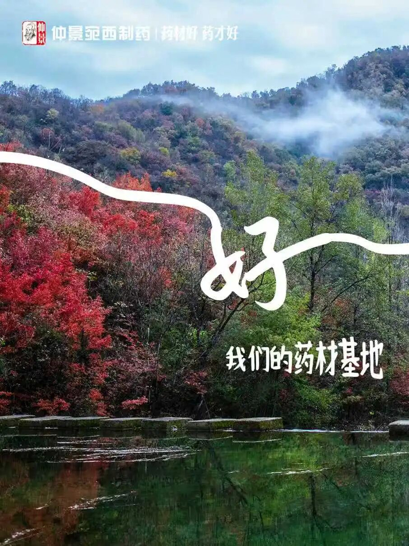 圖片3.jpg