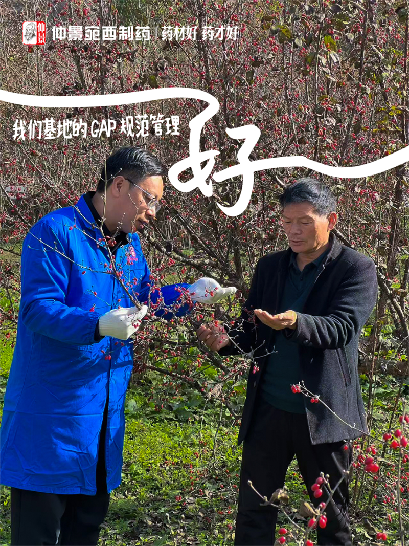 圖片4.jpg