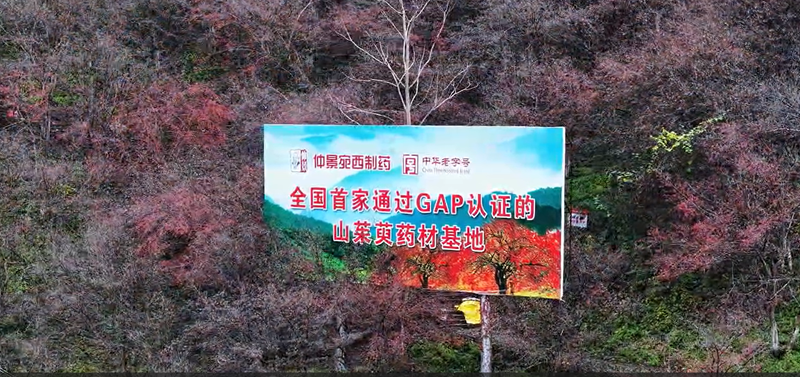 1770623447201164.png 圖片9.png