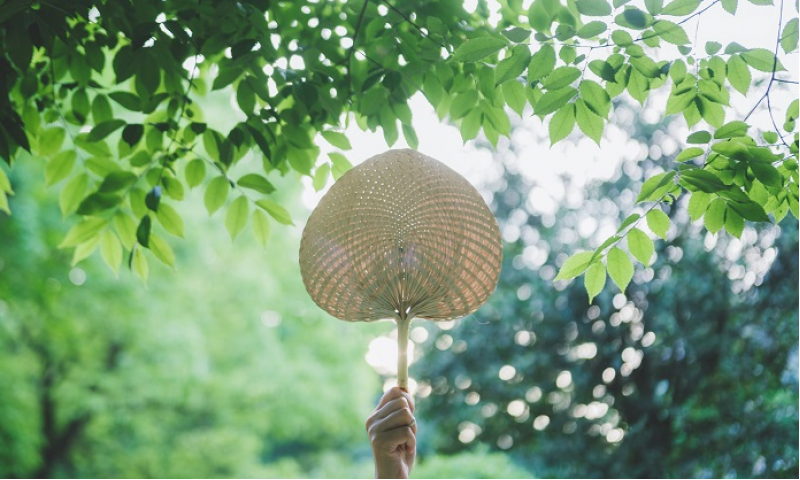 立夏是夏天的開始嗎
