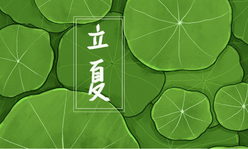 節(jié)氣立夏適合吃什么蔬菜