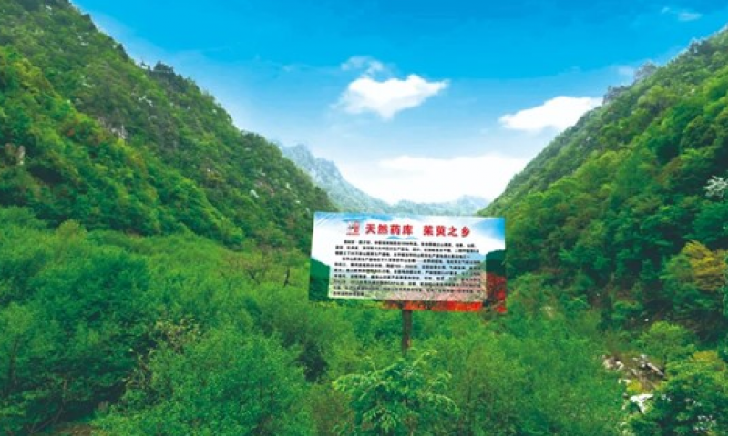 仲景宛西制藥再度蟬聯(lián)農(nóng)業(yè)產(chǎn)業(yè)化國家重點(diǎn)龍頭企業(yè)