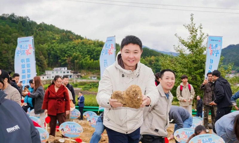 “藥材好，藥才好”仲景宛西制藥岳西茯苓種植基地迎來采收好時節(jié)