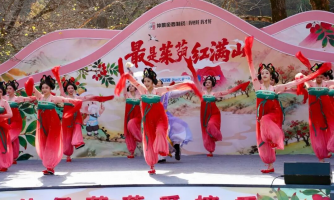 2025仲景茱萸采摘季