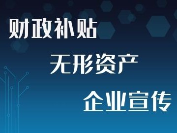示范企業(yè)價值2