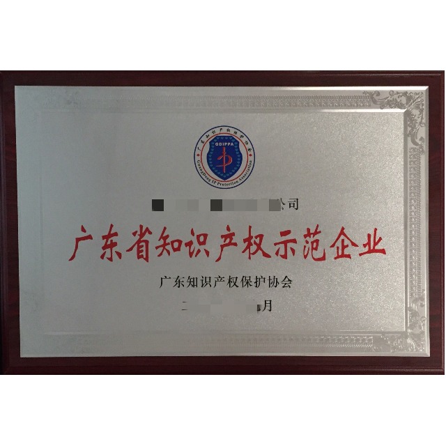 知識產(chǎn)權(quán)示范企業(yè)