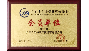 （第三屆）廣東省企業(yè)管理咨詢協(xié)會