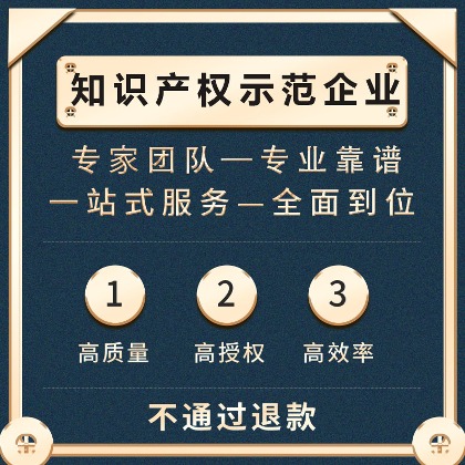 知識產(chǎn)權(quán)示范企業(yè)