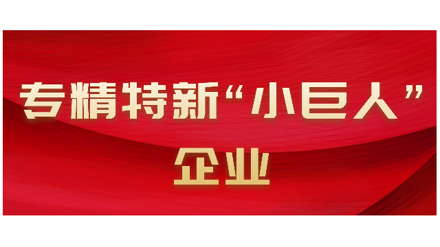 專精特新“小巨人”企業(yè)認(rèn)定標(biāo)準(zhǔn)