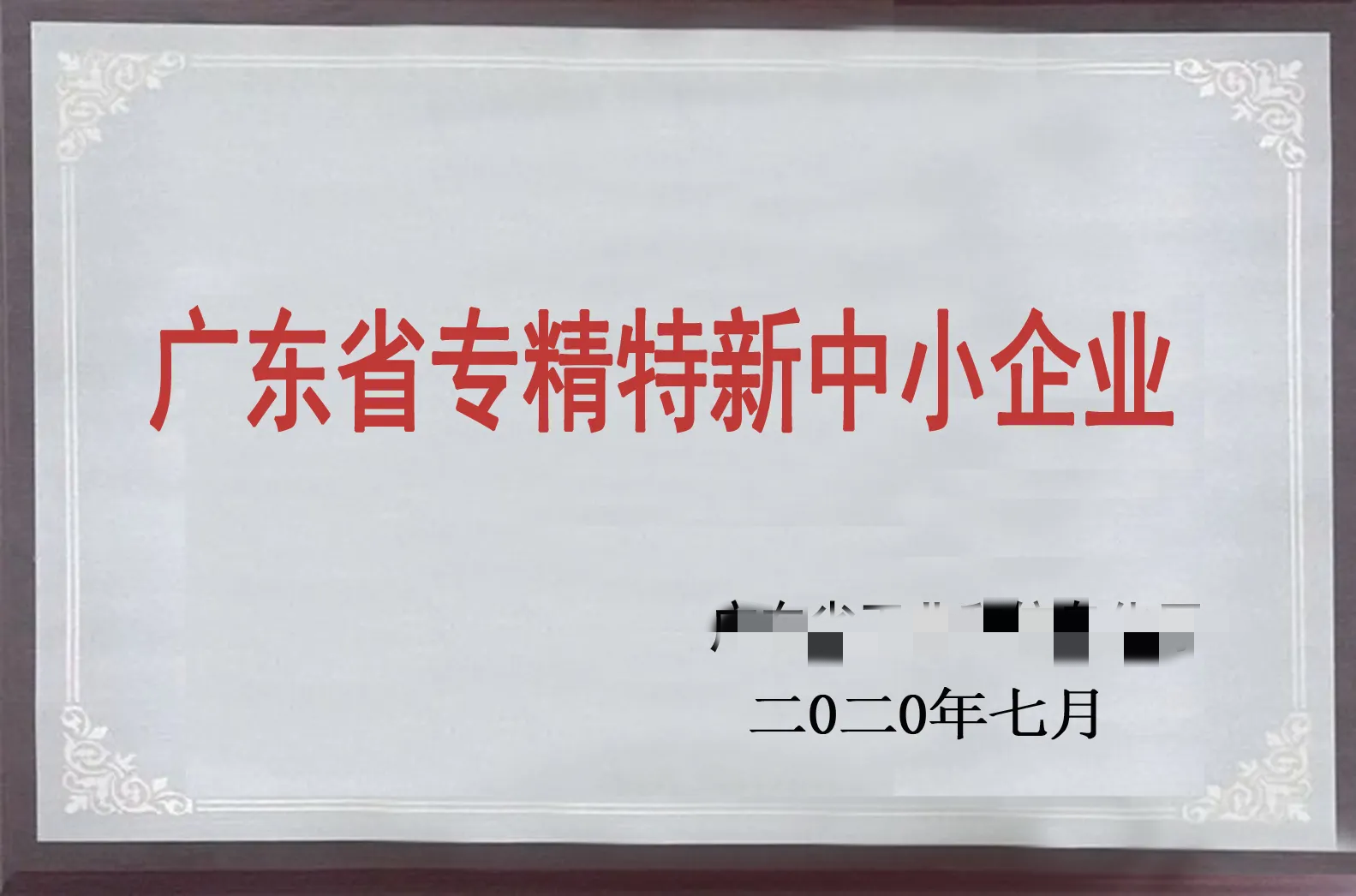 專(zhuān)精特新企業(yè)