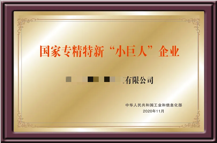 專精特新小巨人