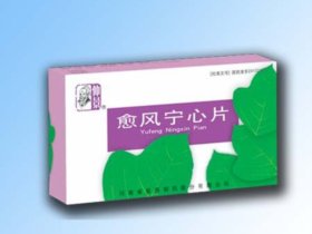 仲景牌系列產(chǎn)品—愈風寧心片