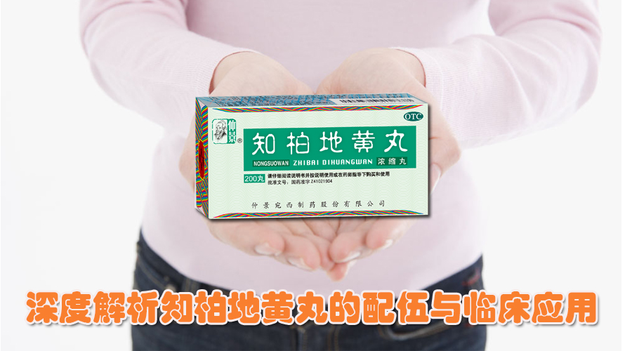 深度解析知柏地黃丸的配伍與臨床應用